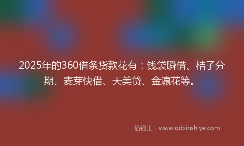 2025年的360借条货款花有：钱袋瞬借、桔子分期、麦芽快借、天美贷、金瀛花等。