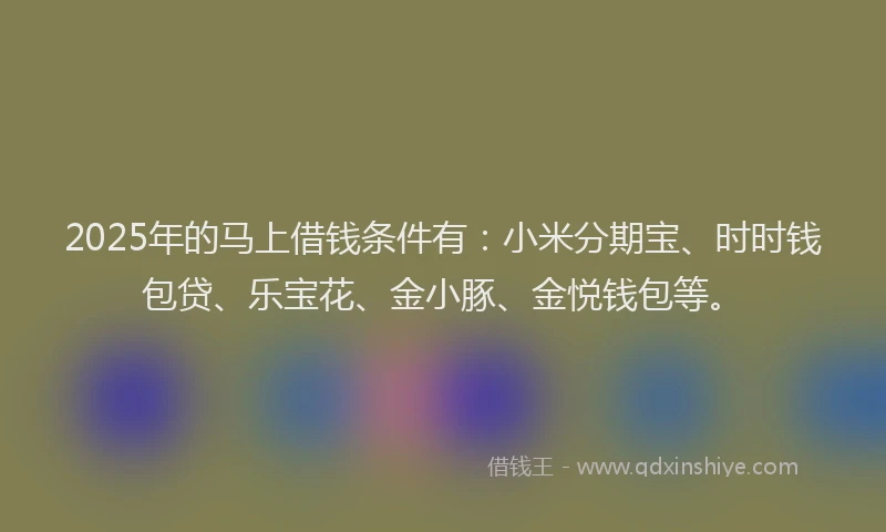 2025年的马上借钱条件有：小米分期宝、时时钱包贷、乐宝花、金小豚、金悦钱包等。