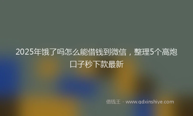 2025年饿了吗怎么能借钱到微信，整理5个高炮口子秒下款最新