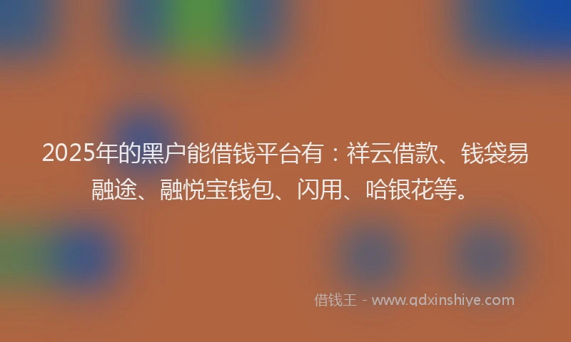 2025年的黑户能借钱平台有：祥云借款、钱袋易融途、融悦宝钱包、闪用、哈银花等。