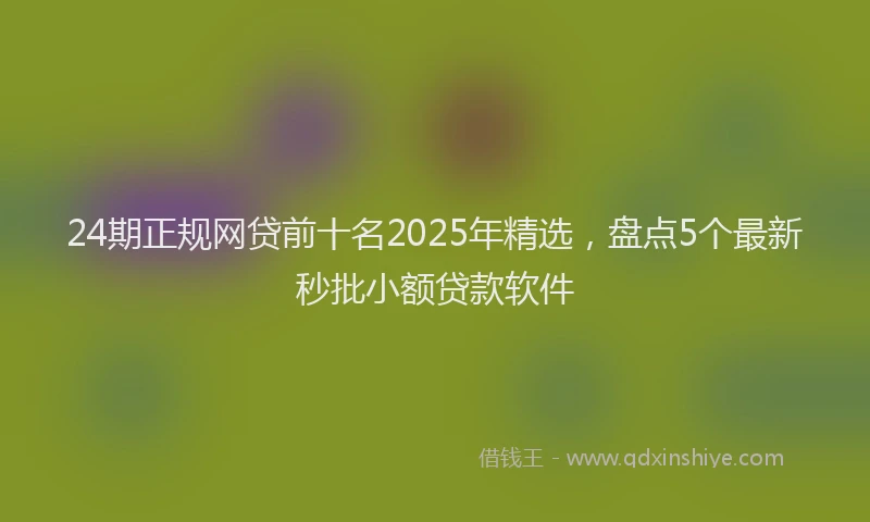24期正规网贷前十名2025年精选，盘点5个最新秒批小额贷款软件