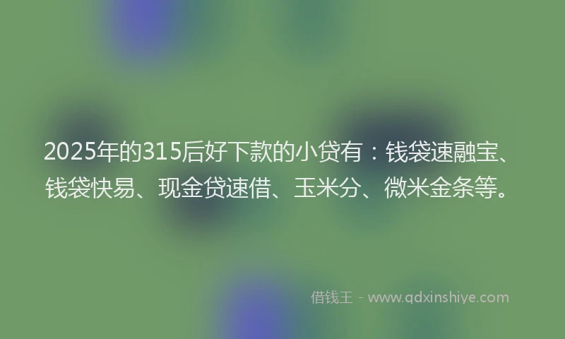 2025年的315后好下款的小贷有：钱袋速融宝、钱袋快易、现金贷速借、玉米分、微米金条等。