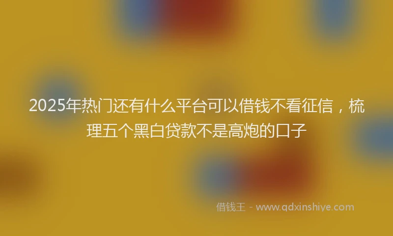 2025年热门还有什么平台可以借钱不看征信，梳理五个黑白贷款不是高炮的口子