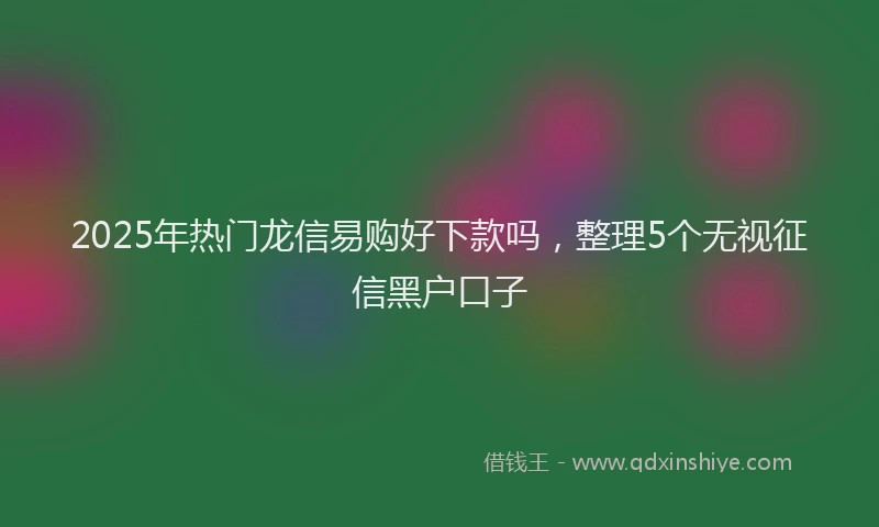 2025年热门龙信易购好下款吗，整理5个无视征信黑户口子