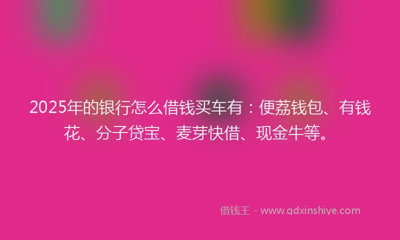 2025年的银行怎么借钱买车有：便荔钱包、有钱花、分子贷宝、麦芽快借、现金牛等。