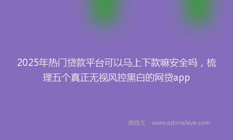 2025年热门贷款平台可以马上下款嘛安全吗，梳理五个真正无视风控黑白的网贷app