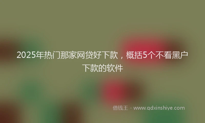 2025年热门那家网贷好下款，概括5个不看黑户下款的软件