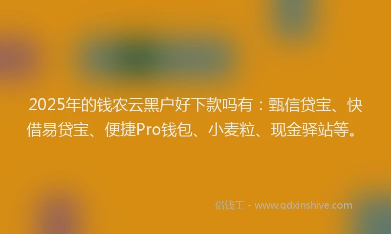 2025年的钱农云黑户好下款吗有：甄信贷宝、快借易贷宝、便捷Pro钱包、小麦粒、现金驿站等。