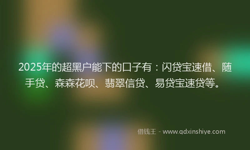 2025年的超黑户能下的口子有：闪贷宝速借、随手贷、森森花呗、翡翠信贷、易贷宝速贷等。