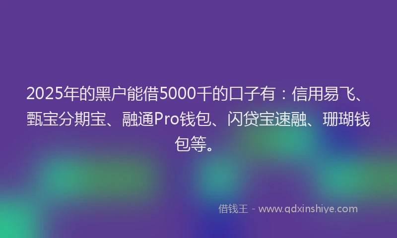 2025年的黑户能借5000千的口子有：信用易飞、甄宝分期宝、融通Pro钱包、闪贷宝速融、珊瑚钱包等。
