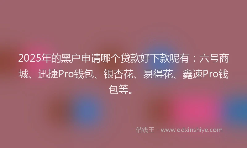 2025年的黑户申请哪个贷款好下款呢有：六号商城、迅捷Pro钱包、银杏花、易得花、鑫速Pro钱包等。