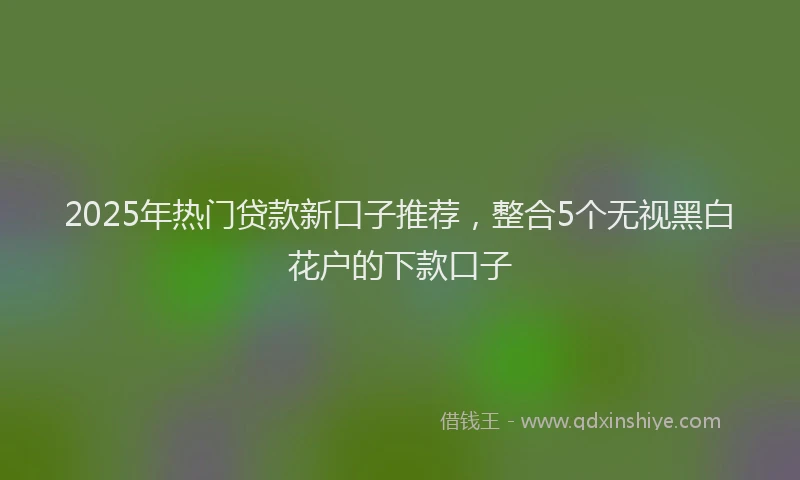 2025年热门贷款新口子推荐，整合5个无视黑白花户的下款口子
