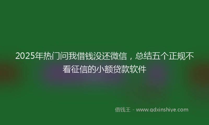 2025年热门问我借钱没还微信，总结五个正规不看征信的小额贷款软件