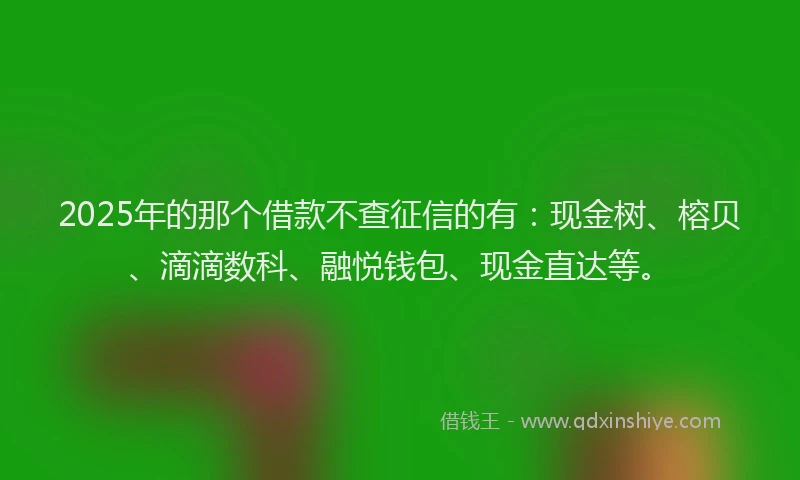 2025年的那个借款不查征信的有：现金树、榕贝、滴滴数科、融悦钱包、现金直达等。