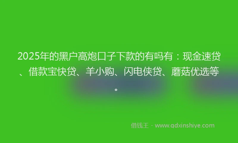 2025年的黑户高炮口子下款的有吗有：现金速贷、借款宝快贷、羊小购、闪电侠贷、蘑菇优选等。