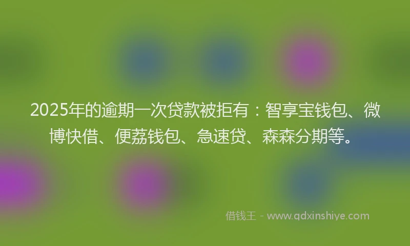 2025年的逾期一次贷款被拒有：智享宝钱包、微博快借、便荔钱包、急速贷、森森分期等。