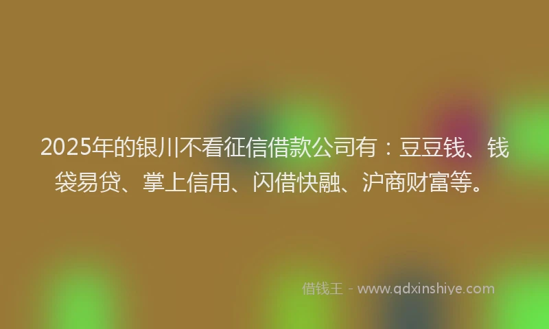 2025年的银川不看征信借款公司有：豆豆钱、钱袋易贷、掌上信用、闪借快融、沪商财富等。