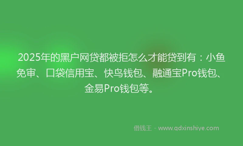 2025年的黑户网贷都被拒怎么才能贷到有：小鱼免审、口袋信用宝、快鸟钱包、融通宝Pro钱包、金易Pro钱包等。