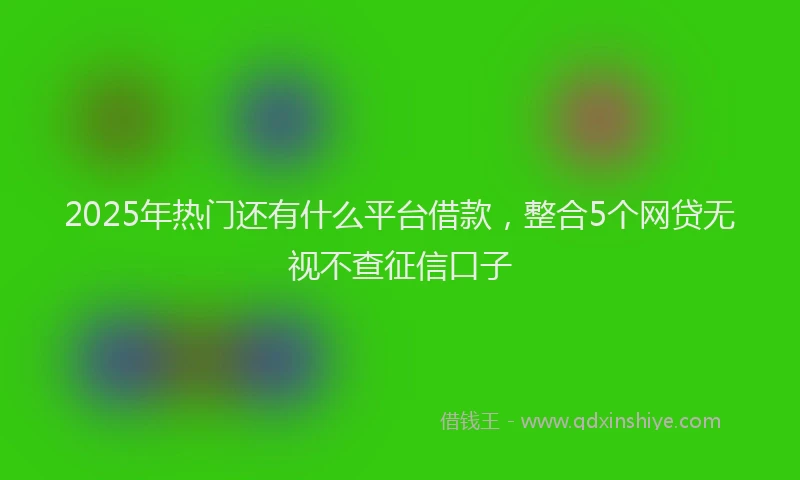 2025年热门还有什么平台借款，整合5个网贷无视不查征信口子