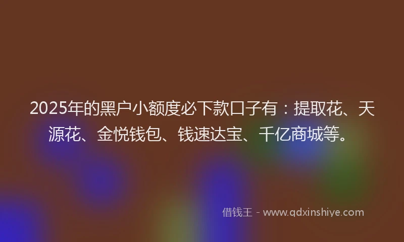 2025年的黑户小额度必下款口子有：提取花、天源花、金悦钱包、钱速达宝、千亿商城等。