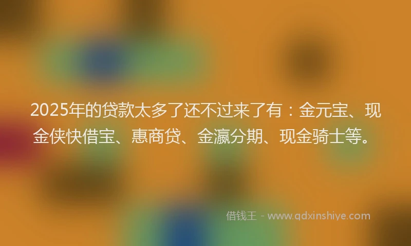 2025年的贷款太多了还不过来了有：金元宝、现金侠快借宝、惠商贷、金瀛分期、现金骑士等。