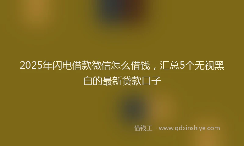 2025年闪电借款微信怎么借钱，汇总5个无视黑白的最新贷款口子