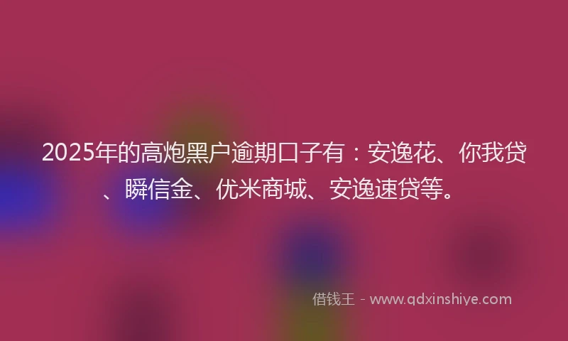 2025年的高炮黑户逾期口子有：安逸花、你我贷、瞬信金、优米商城、安逸速贷等。