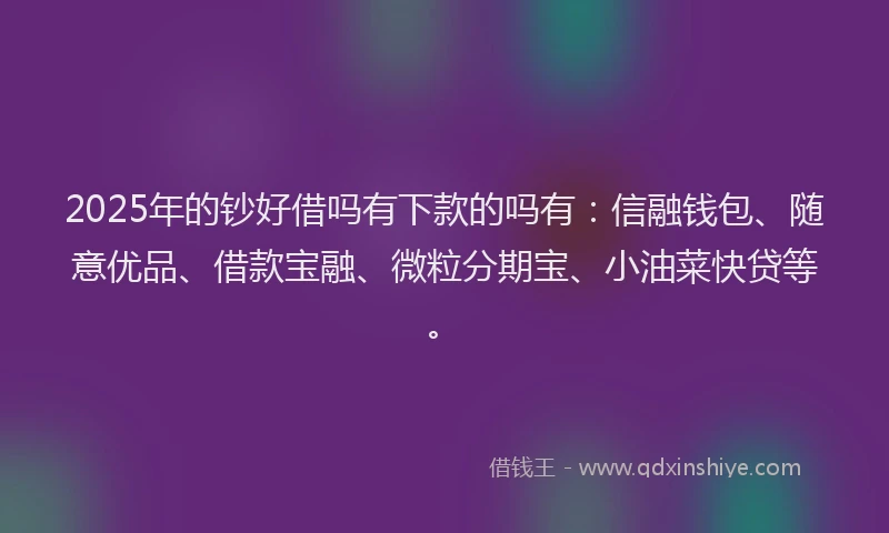 2025年的钞好借吗有下款的吗有：信融钱包、随意优品、借款宝融、微粒分期宝、小油菜快贷等。