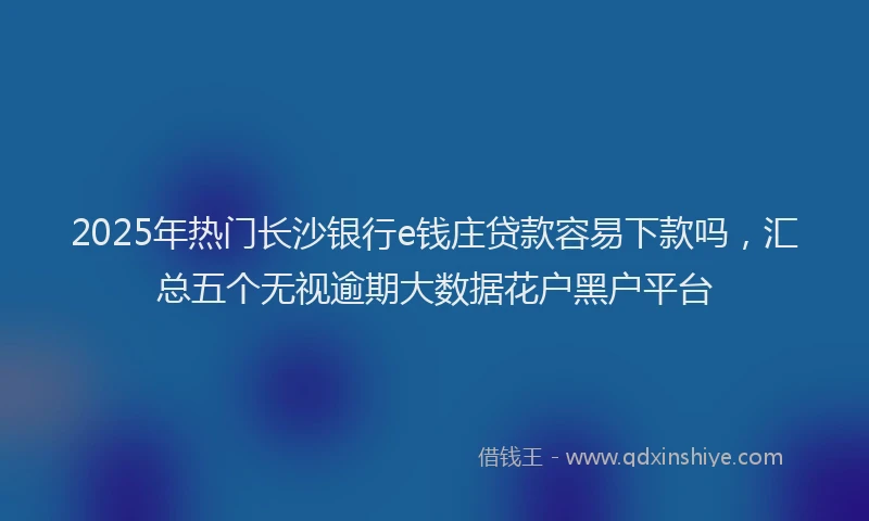 2025年热门长沙银行e钱庄贷款容易下款吗，汇总五个无视逾期大数据花户黑户平台