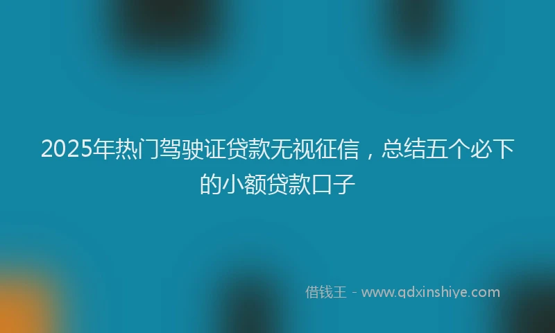 2025年热门驾驶证贷款无视征信，总结五个必下的小额贷款口子