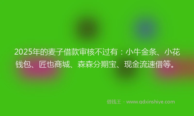 2025年的麦子借款审核不过有：小牛金条、小花钱包、匠也商城、森森分期宝、现金流速借等。