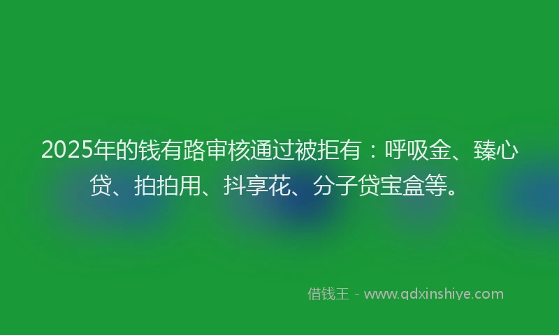 2025年的钱有路审核通过被拒有：呼吸金、臻心贷、拍拍用、抖享花、分子贷宝盒等。