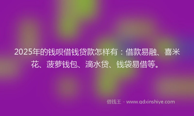 2025年的钱呗借钱贷款怎样有：借款易融、喜米花、菠萝钱包、滴水贷、钱袋易借等。
