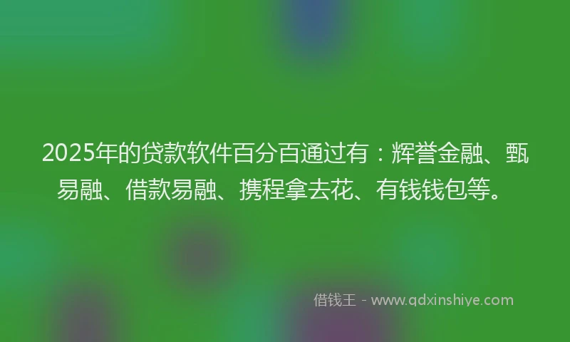 2025年的贷款软件百分百通过有：辉誉金融、甄易融、借款易融、携程拿去花、有钱钱包等。