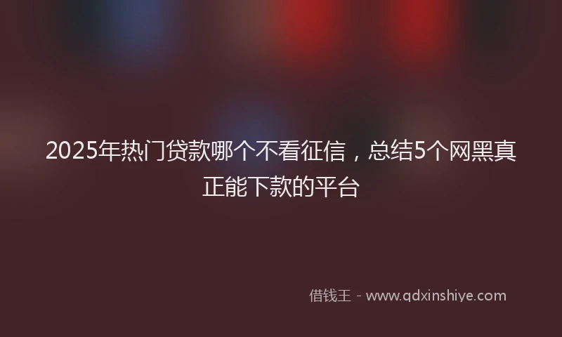 2025年热门贷款哪个不看征信，总结5个网黑真正能下款的平台