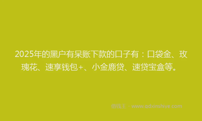 2025年的黑户有呆账下款的口子有：口袋金、玫瑰花、速享钱包+、小金鹿贷、速贷宝盒等。