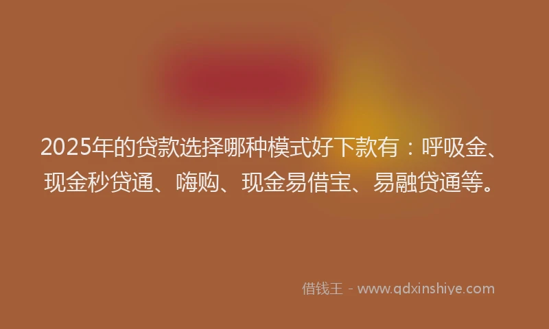 2025年的贷款选择哪种模式好下款有：呼吸金、现金秒贷通、嗨购、现金易借宝、易融贷通等。