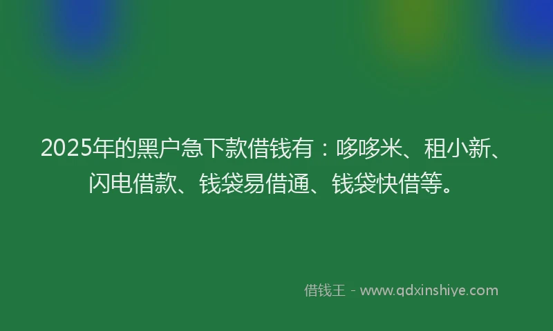 2025年的黑户急下款借钱有：哆哆米、租小新、闪电借款、钱袋易借通、钱袋快借等。
