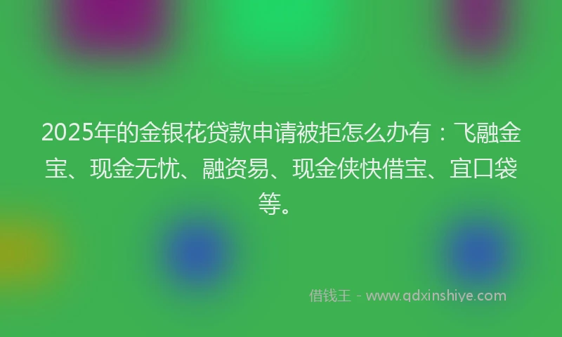 2025年的金银花贷款申请被拒怎么办有：飞融金宝、现金无忧、融资易、现金侠快借宝、宜口袋等。