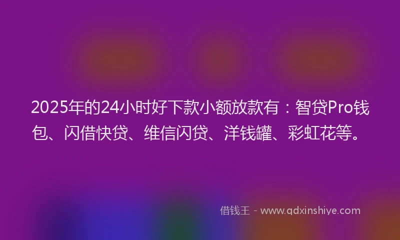 2025年的24小时好下款小额放款有：智贷Pro钱包、闪借快贷、维信闪贷、洋钱罐、彩虹花等。