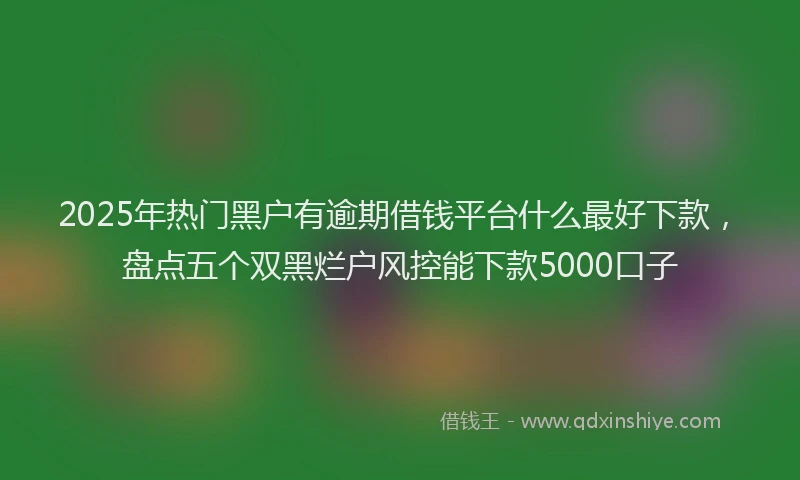 2025年热门黑户有逾期借钱平台什么最好下款，盘点五个双黑烂户风控能下款5000口子