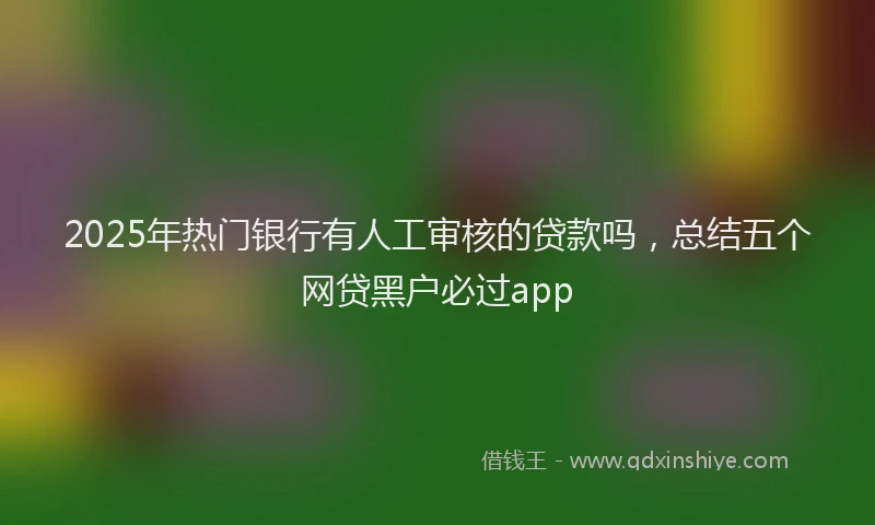 2025年热门银行有人工审核的贷款吗，总结五个网贷黑户必过app