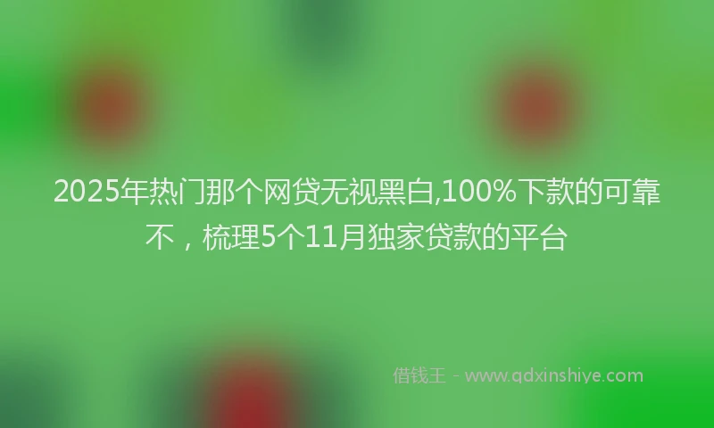2025年热门那个网贷无视黑白,100%下款的可靠不，梳理5个11月独家贷款的平台