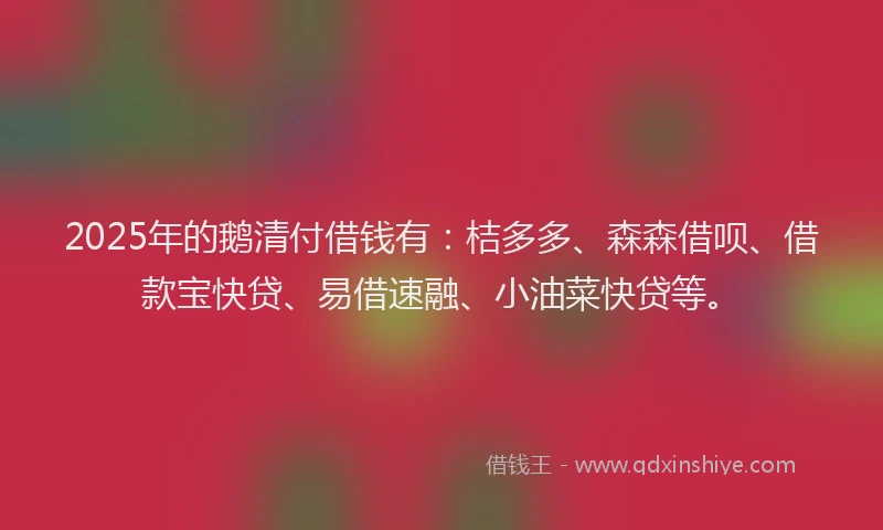 2025年的鹅清付借钱有：桔多多、森森借呗、借款宝快贷、易借速融、小油菜快贷等。