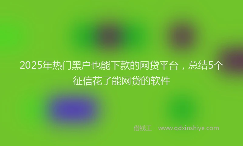 2025年热门黑户也能下款的网贷平台，总结5个征信花了能网贷的软件