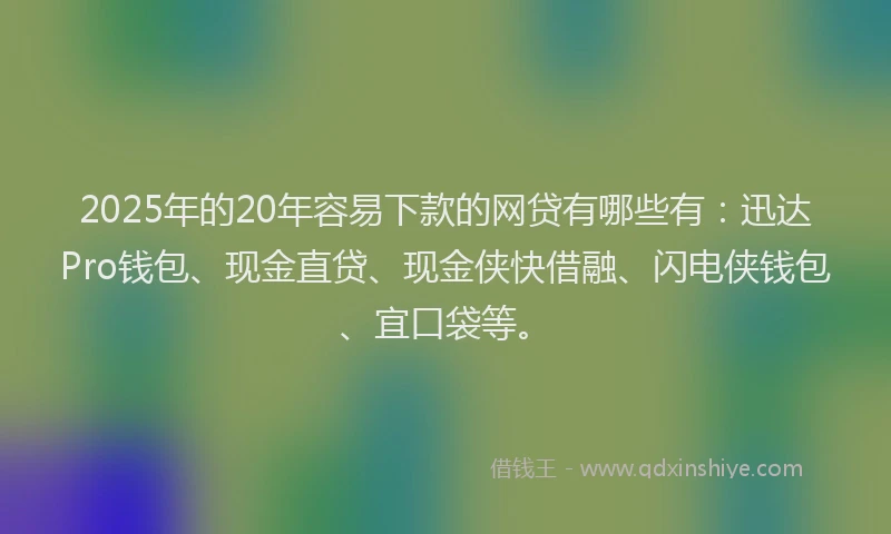 2025年的20年容易下款的网贷有哪些有：迅达Pro钱包、现金直贷、现金侠快借融、闪电侠钱包、宜口袋等。