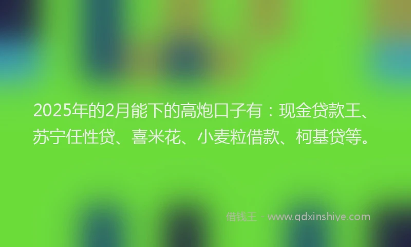 2025年的2月能下的高炮口子有：现金贷款王、苏宁任性贷、喜米花、小麦粒借款、柯基贷等。