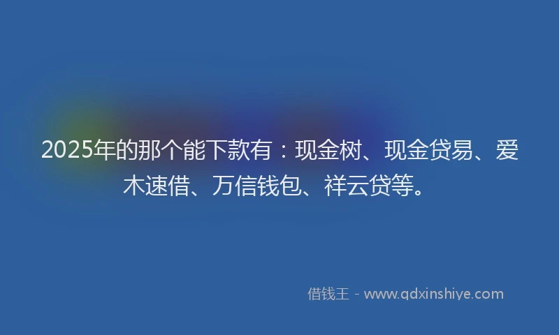 2025年的那个能下款有：现金树、现金贷易、爱木速借、万信钱包、祥云贷等。