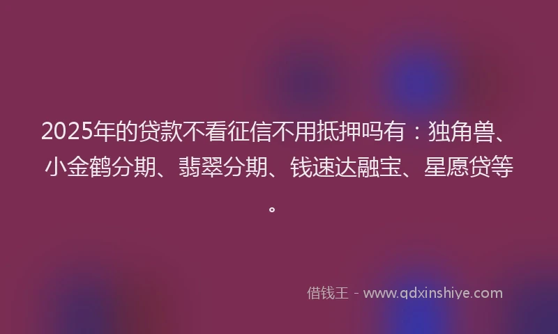 2025年的贷款不看征信不用抵押吗有：独角兽、小金鹤分期、翡翠分期、钱速达融宝、星愿贷等。