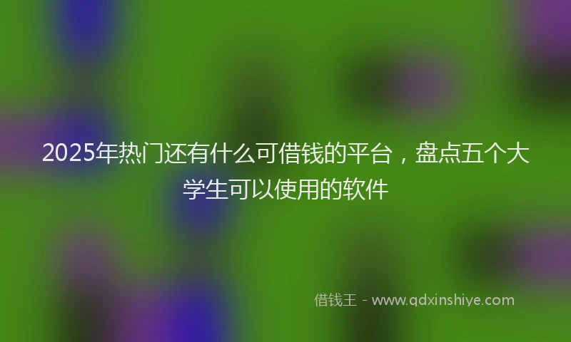 2025年热门还有什么可借钱的平台，盘点五个大学生可以使用的软件
